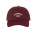 Alternative Facts Embroidered Dad Hat Baseball Cap  Many Styles  eb-91716894